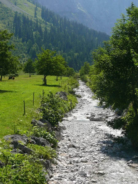 Paisaje Montaña Con Río Hierba Verde — Foto de Stock