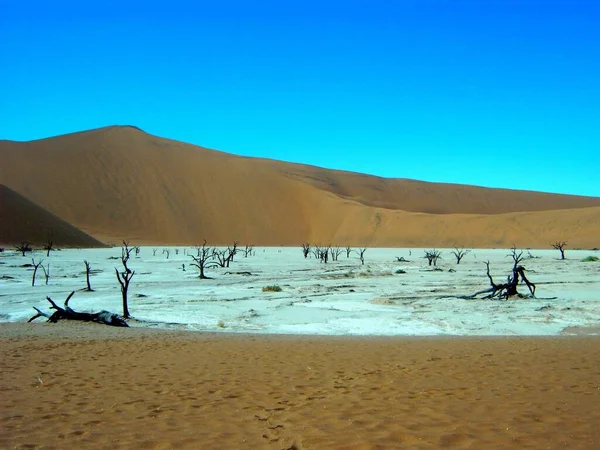 Paisagem Marinha Morta Deserto Namib — Fotografia de Stock