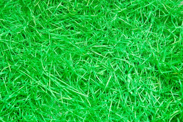 Green Grass Background Texture — Stock Photo, Image