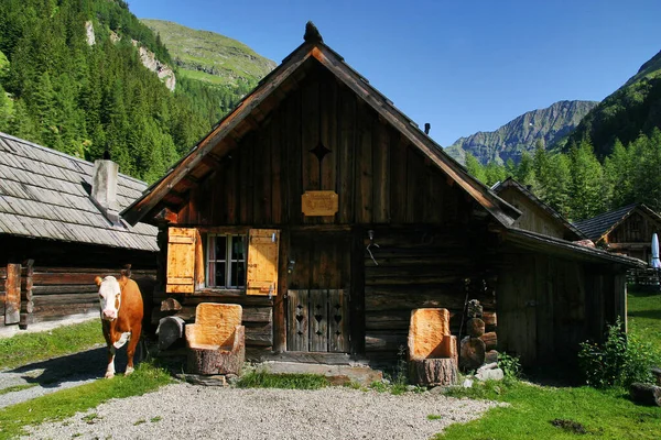 スイスアルプスの高山地帯です — ストック写真