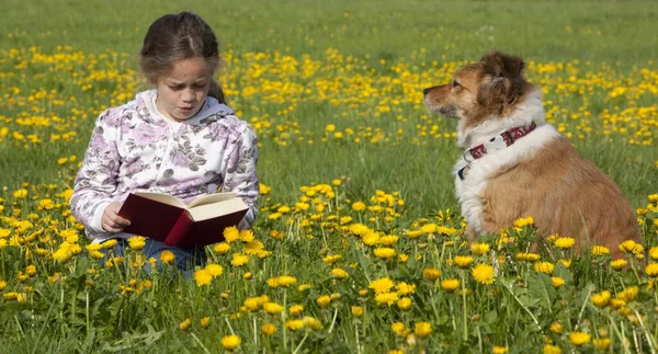 Mädchen Liest Ein Buch Park — Stockfoto