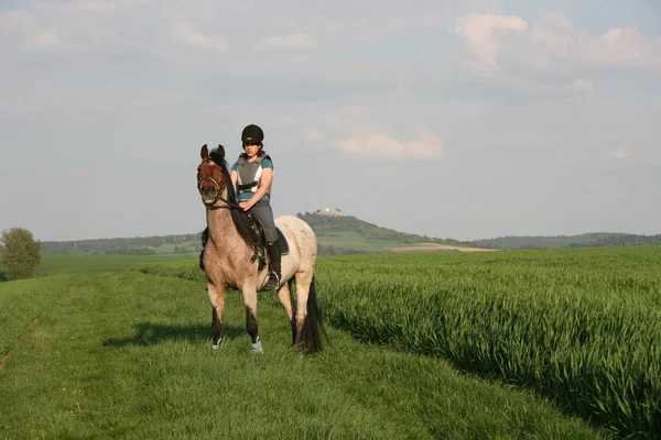 一对年轻夫妇骑着马在田里 — 图库照片