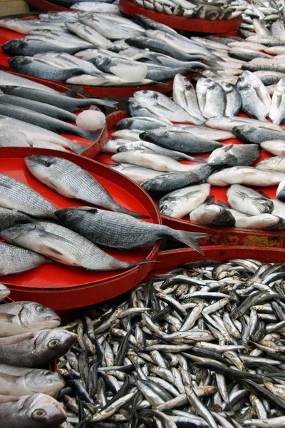 Vismarkt Thailand — Stockfoto