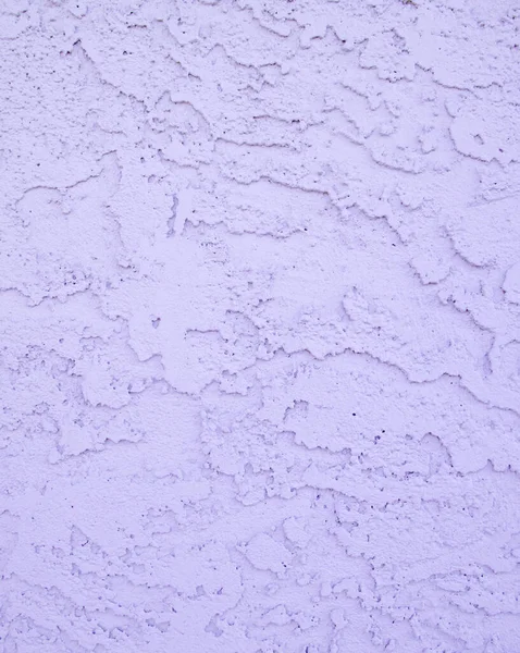 Живописный Вид Красивую Фиолетовую Лаванду — стоковое фото