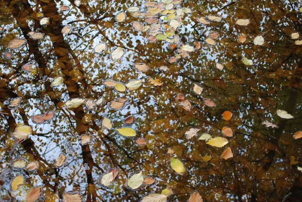 Schöne Aussicht Auf Die Natur — Stockfoto