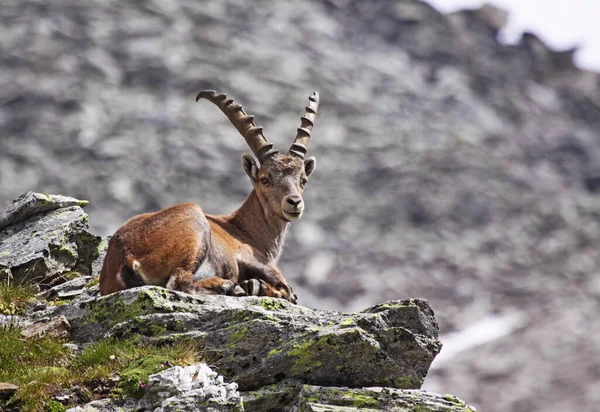 Schilderachtig Uitzicht Majestueuze Dolomieten Landschap Italië — Stockfoto