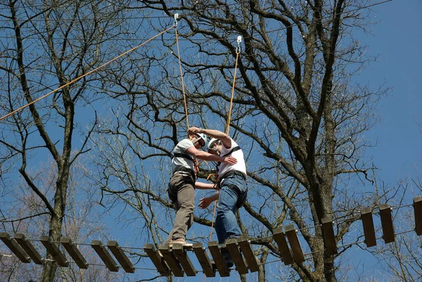 Balanceakt Auf Der Dschungelbrücke Seilgarten Tobelropes Martinshaus Kleintobel — Stockfoto