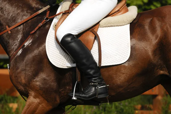 Horse Jockey Field — Stock Photo, Image