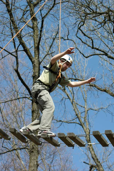 Balanceakt Auf Der Dschungelbrücke Seilgarten Tobelropes Martinshaus Kleintobel — Stockfoto