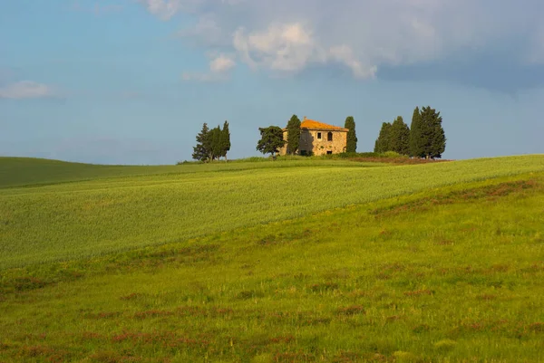 Bauernhaus Der Toskana Italien — Stockfoto