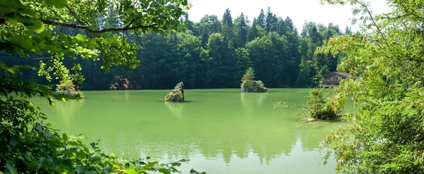 池や湖のある美しい風景 — ストック写真