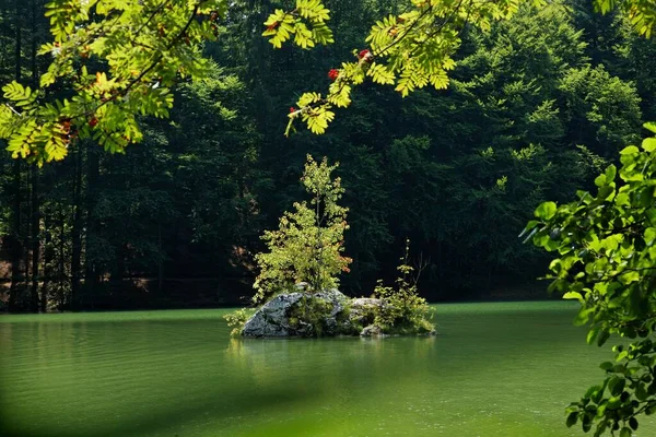 Όμορφο Τοπίο Μια Λίμνη Στο Πάρκο — Φωτογραφία Αρχείου