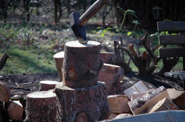 Firewood Logs Tree Trunk — Stock Photo, Image