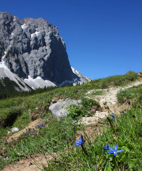 Escursioni Montagna — Foto Stock