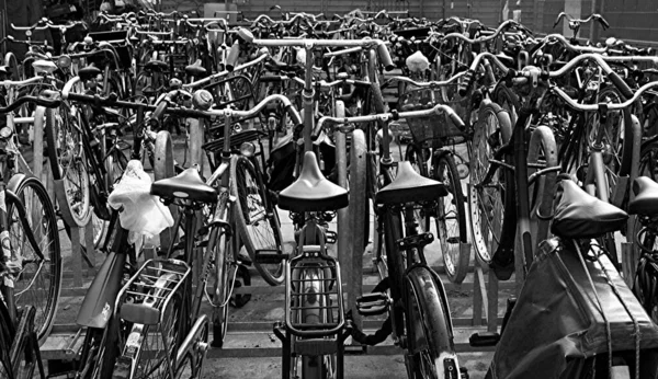 Ayuda Donde Está Bicicleta —  Fotos de Stock