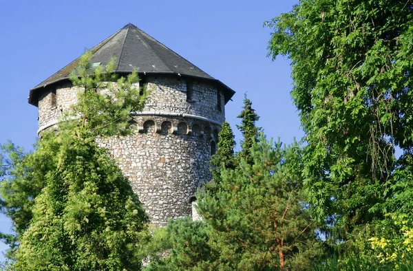 Stolberg Rhld Bergfried Von Der Burg — Stockfoto