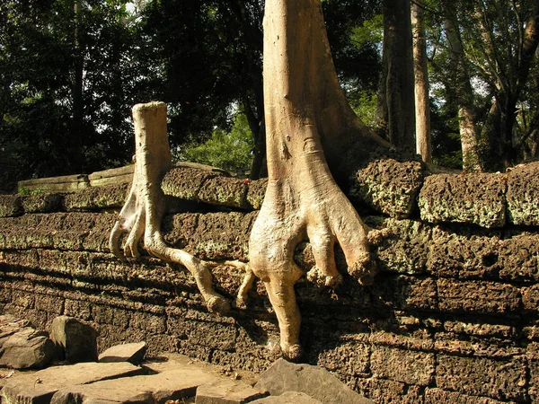 Angkor Wat Siem Mietere Cambogia — Foto Stock
