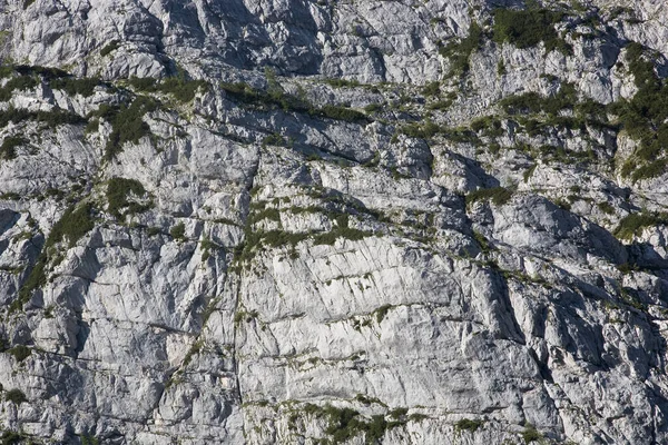 Stones Mountain Forest Berchtesgaden National Park Way Blaueisgletsch — Stock Photo, Image