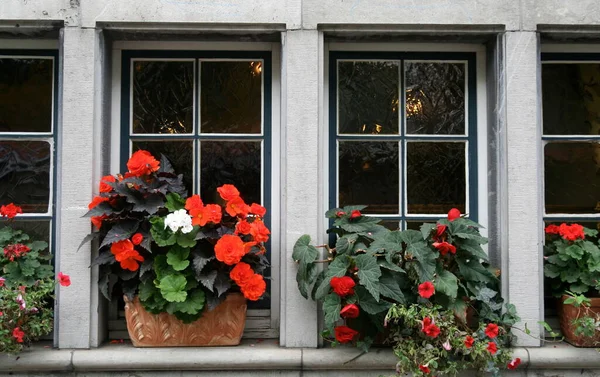 Aquisgrán Ventana Del Casco Antiguo — Foto de Stock