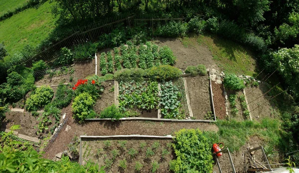 Panorama Aus Der Vogelperspektive Auf Einen Garten Kleinen Garten Bauerngarten — Stockfoto