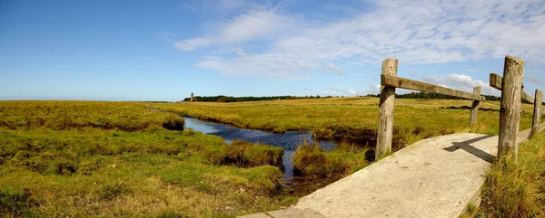 Belle Vue Nature Scène — Photo