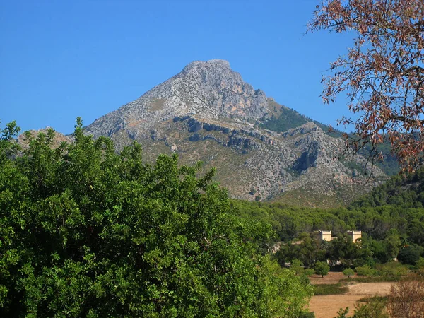 夏天的山景 — 图库照片