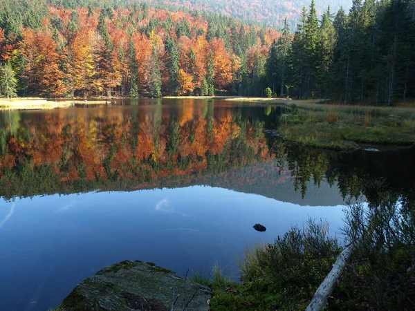 Herbstlandschaft Mit See Und Wald — Stockfoto