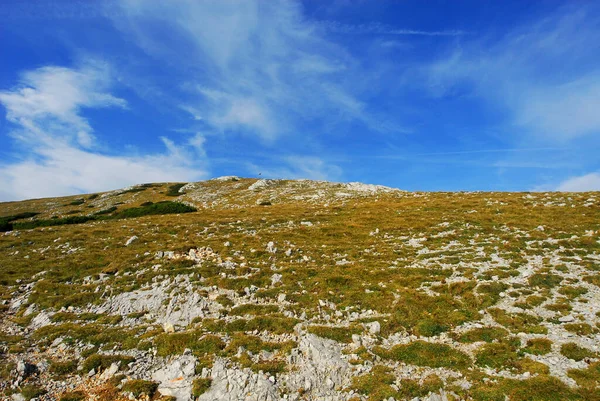 Bjergvandring Schneeberg - Stock-foto