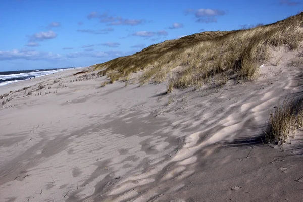 Vue Panoramique Des Dunes Mise Point Sélective — Photo