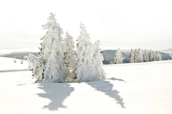 Schöne Aussicht Auf Die Winterlandschaft — Stockfoto