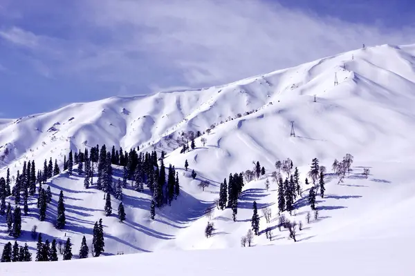 Paisaje Invernal Con Árboles Cubiertos Nieve —  Fotos de Stock