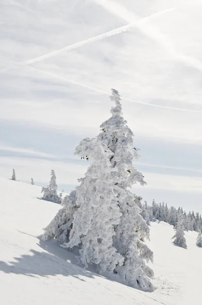 Prachtig Uitzicht Het Winterlandschap — Stockfoto