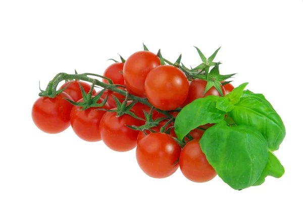 Tomato Basil Tomato Basil — Stock Photo, Image