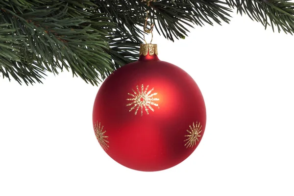 モミの枝にある赤いクリスマスツリーボール — ストック写真