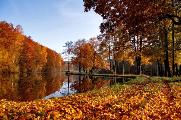 Paysage Automne Avec Arbres Lac — Photo