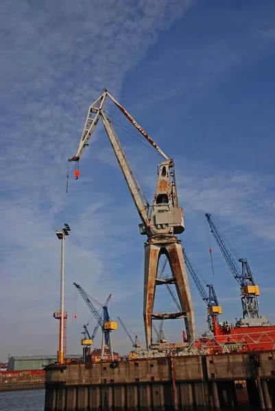 Verladekräne Hamburger Hafen — Stockfoto