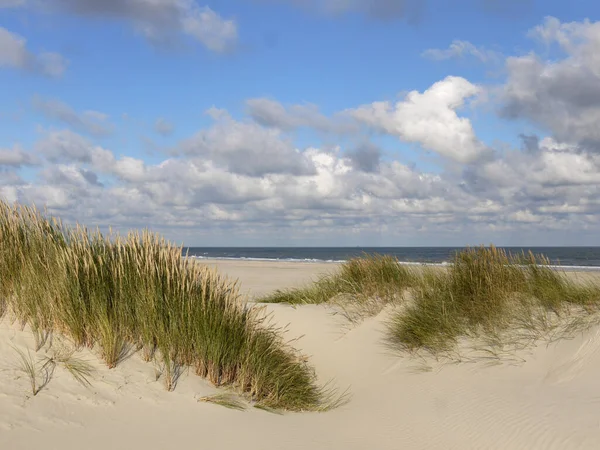 Scenic View Dunes Selective Focus — Stock Photo, Image