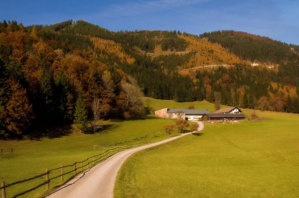 Paisagem Montanhosa Com Grama Verde Céu Azul — Fotografia de Stock