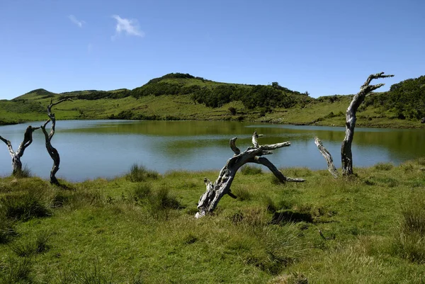 Hermosa Vista Naturaleza Escena — Foto de Stock