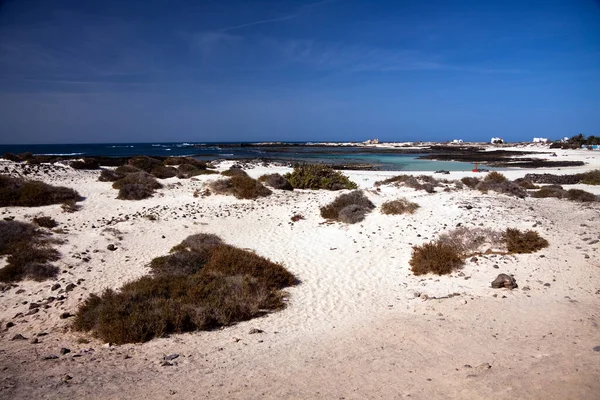 Scenic View Dunes Selective Focus — Stock Photo, Image