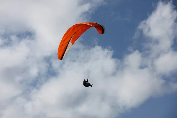 Paragliding Horách — Stock fotografie