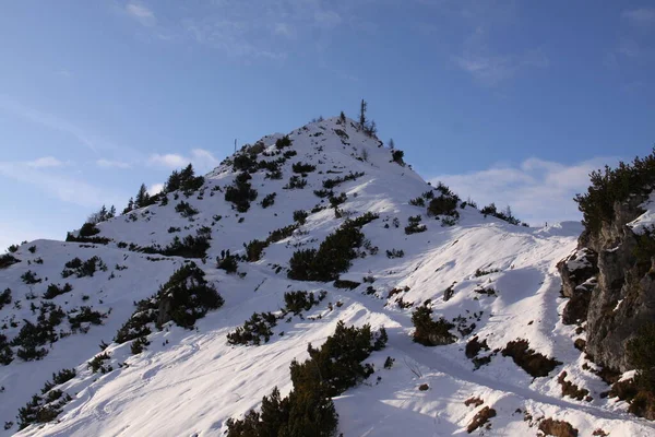 Альпи Найвищими Найширшими Гірськими Хребтами Європи — стокове фото