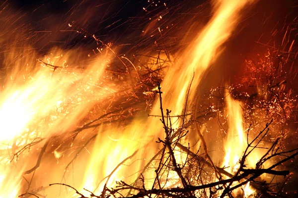 Llama Fuego Árbol — Foto de Stock