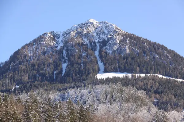 Χιονισμένη Βουνοκορφή Του Jenner — Φωτογραφία Αρχείου
