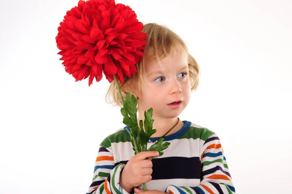 Bambina Con Fiore Rosso — Foto Stock