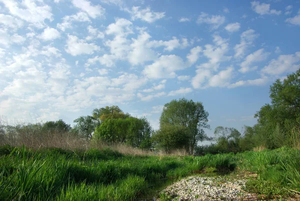 Територія Заповідника Ісарауен — стокове фото