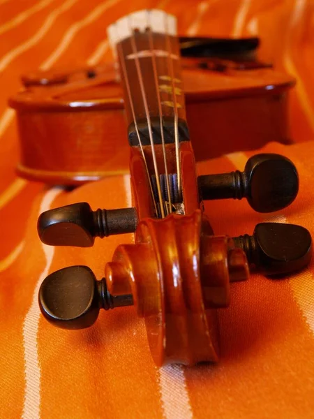 有弓的老小提琴 — 图库照片