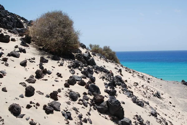 Volcanic Island Fuerteventura — Stock Photo, Image