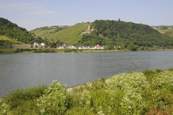 Rhein Bei Rdesheim — Stockfoto