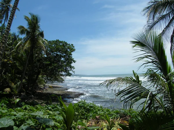 Praia Tropical Com Palmeiras Céu Azul — Fotografia de Stock